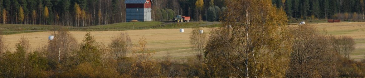 Kuikan lintupaikat; Näkymä Lapinrannan lavalta -  Pappalan kuivurille 29.9.2012; Kuva: Aarne Hagman