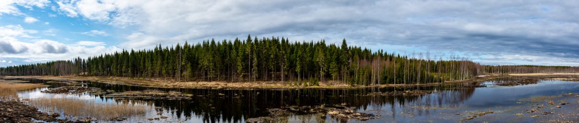 Karttula; Keihäsjärvi 4.5.2020; panoraama; Kuva: Aarne Hagman