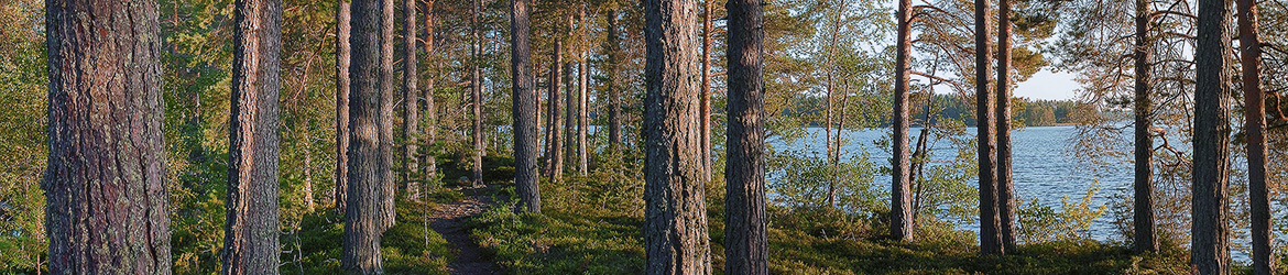 maisema; Tero Pelkonen