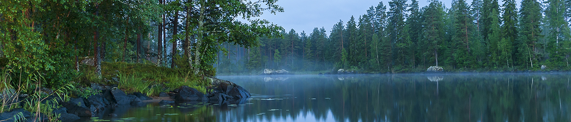 maisema; Tero Pelkonen