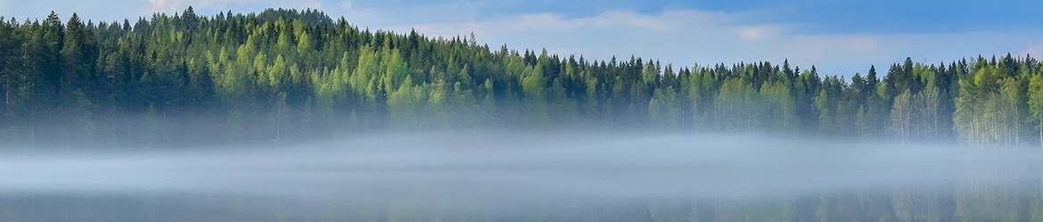 maisema; Tero Pelkonen