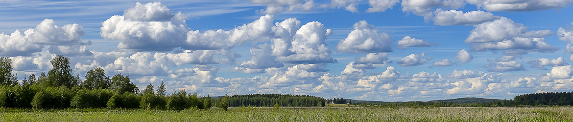 maisema; Tero Pelkonen