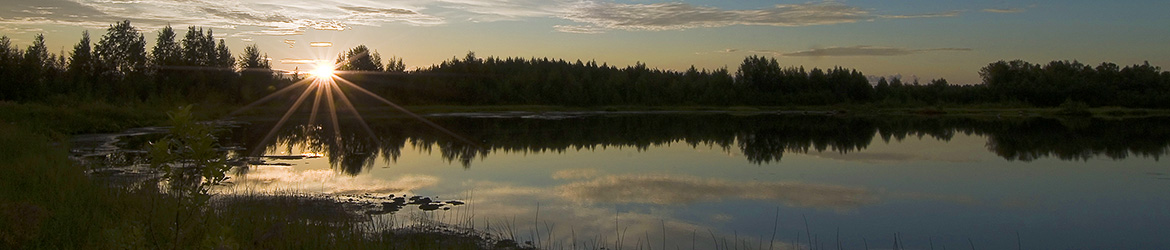 maisema; Tero Pelkonen