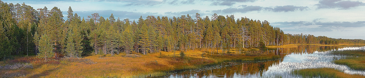 maisema; Tero Pelkonen