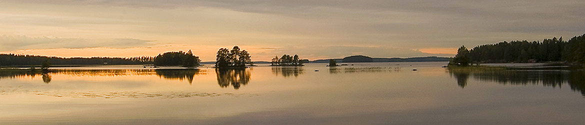 maisema; Tero Pelkonen