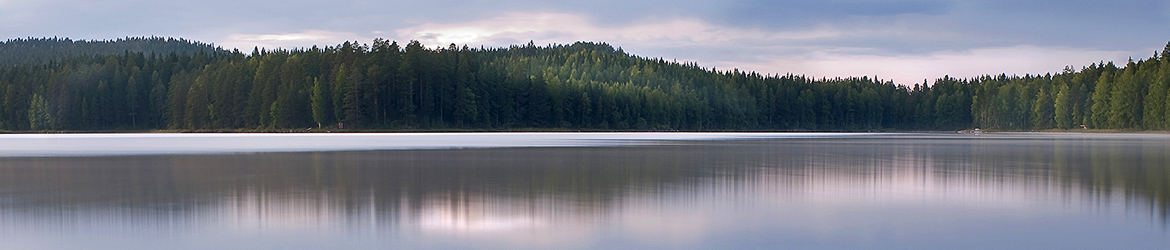 maisema; Tero Pelkonen