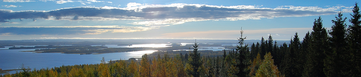 maisema; Tero Pelkonen