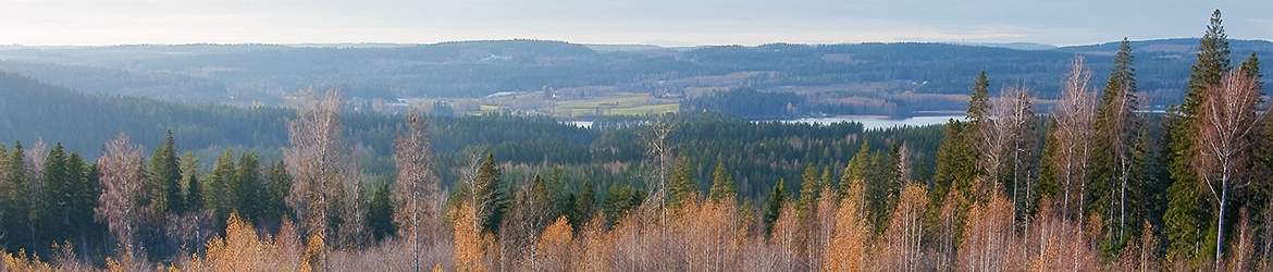 maisema; Tero Pelkonen
