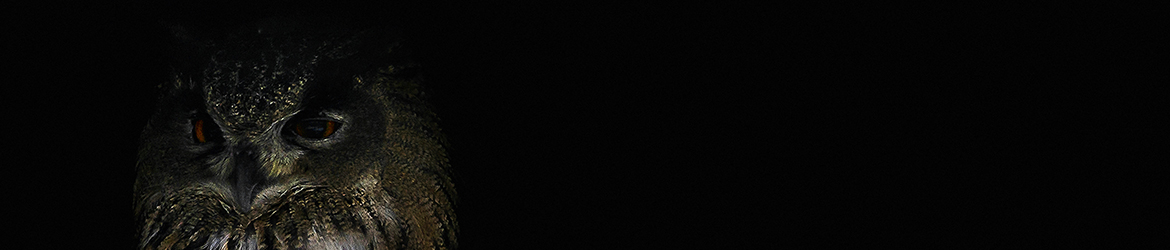 huuhkaja; Tero Pelkonen