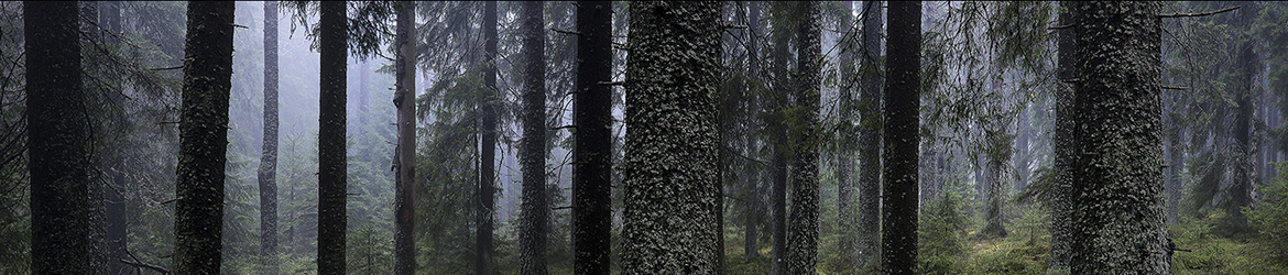 maisema;  Tero Pelkonen maisema;  Tero Pelkonen