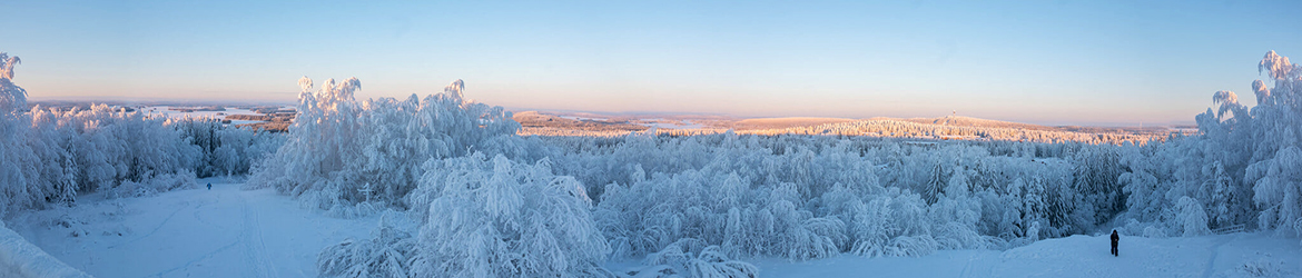 maisema; Aarne Hagman