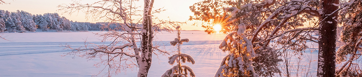 maisema; Aarne Hagman