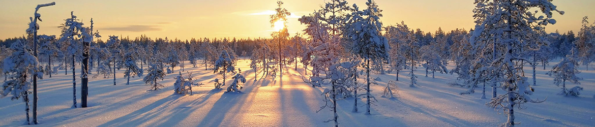 maisema; Kalle Ruokolainen