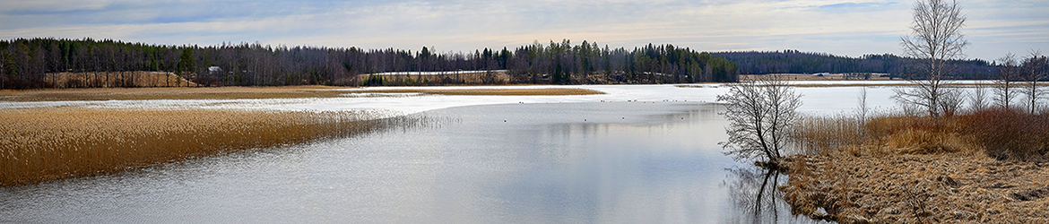 maisema; Tero Pelkonen