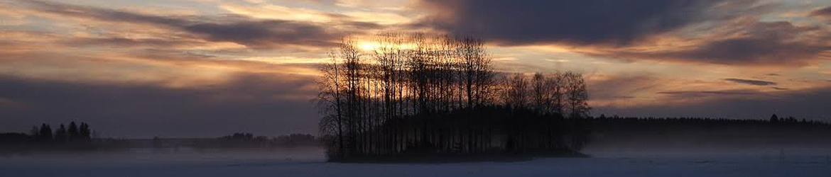 maisema; Kaarina Heiskanen