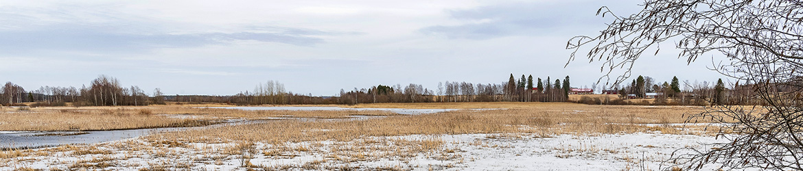 maisema; Tero Pelkonen