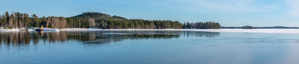 maisema; Aarne Hagman