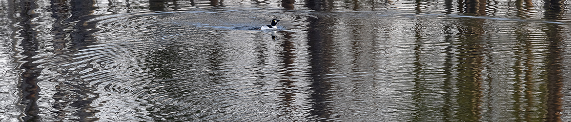 telkkä; Tero Pelkonen