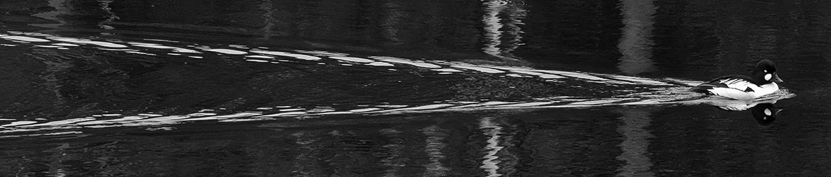 telkkä; Tero Pelkonen