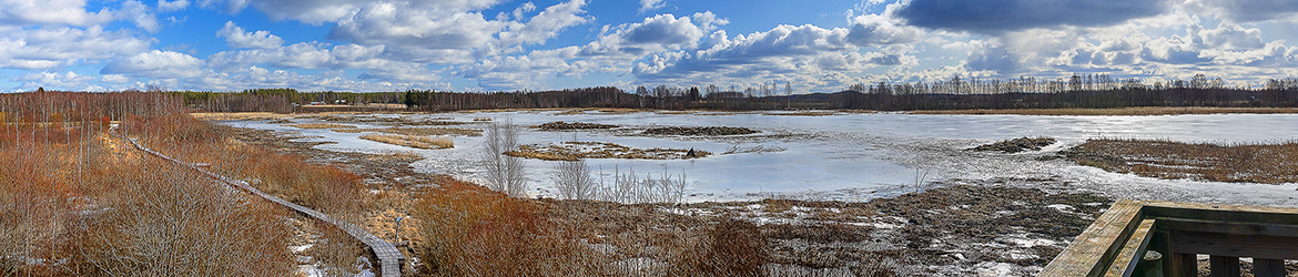 maisema; Tero Pelkonen