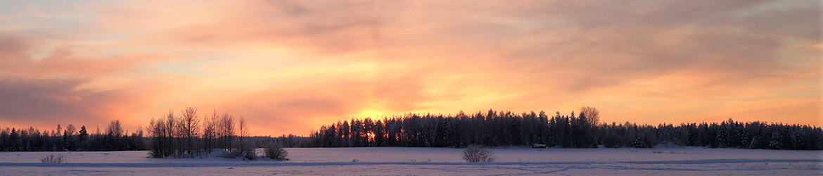 maisema; Kaarina Heiskanen