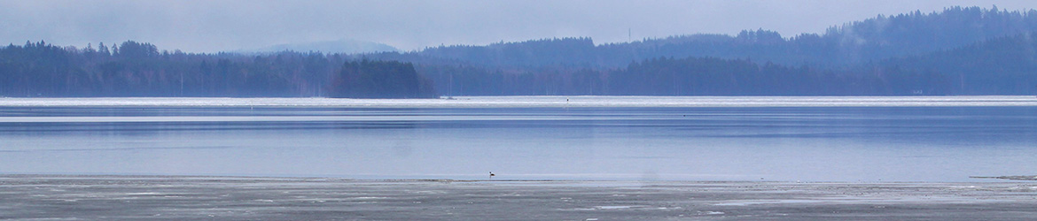 maisema; Kaarina Heiskanen