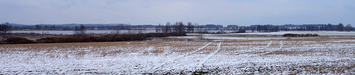 maisema; Kaarina Heiskanen