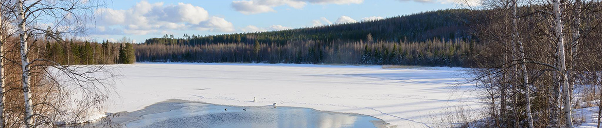 maisema; Aarne Hagman