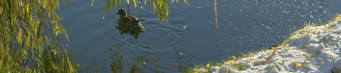 haapana; Aarne Hagman